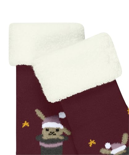 falke-magic-bunny-baby-socken-baumwolle-hase-sterne image 6